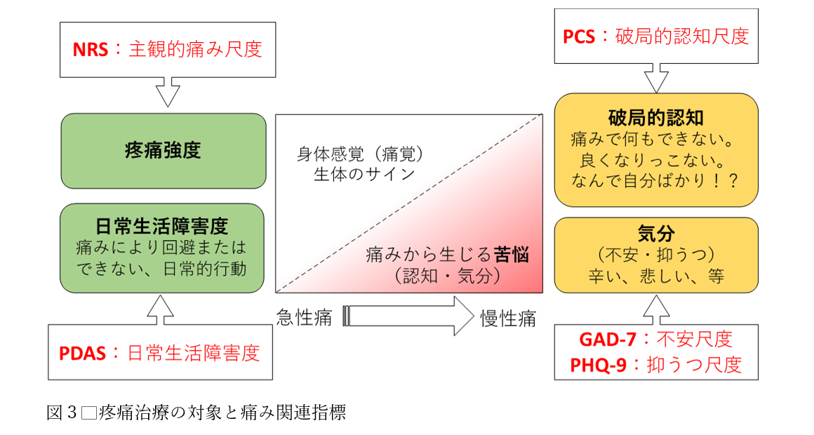 図3 疼痛治療の対象と痛み関連指標