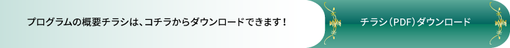 プログラムの概要チラシは、コチラからダウンロードできます！